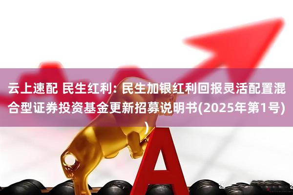 云上速配 民生红利: 民生加银红利回报灵活配置混合型证券投资基金更新招募说明书(2025年第1号)