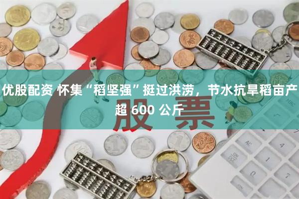 优股配资 怀集“稻坚强”挺过洪涝，节水抗旱稻亩产超 600 公斤