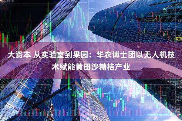 大资本 从实验室到果园：华农博士团以无人机技术赋能黄田沙糖桔产业