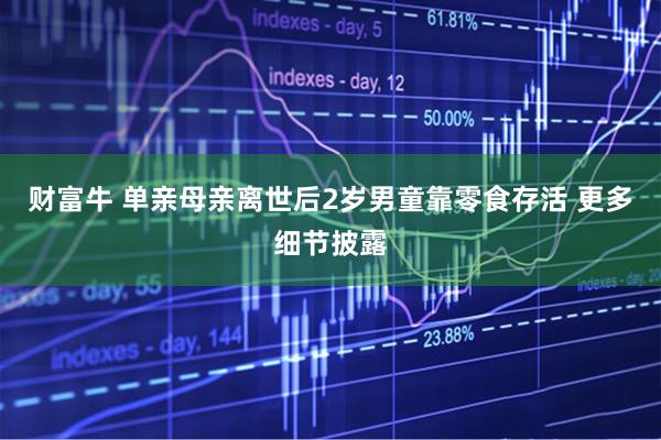 财富牛 单亲母亲离世后2岁男童靠零食存活 更多细节披露