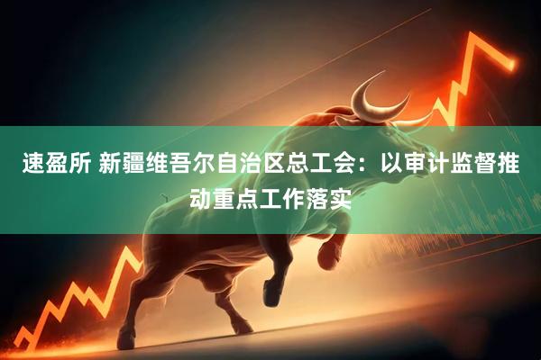 速盈所 新疆维吾尔自治区总工会：以审计监督推动重点工作落实